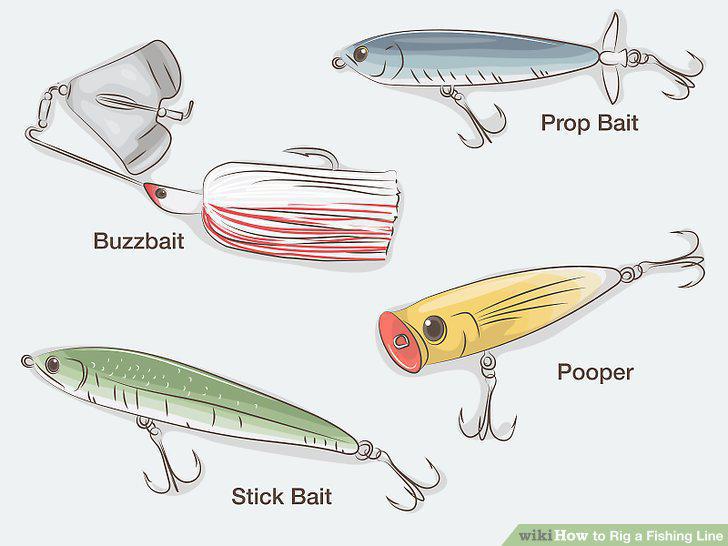 Step 12