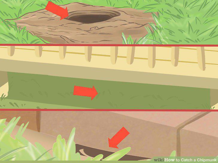 Step 11