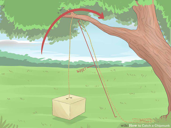 Step 13