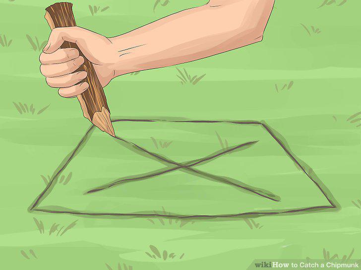 Step 15