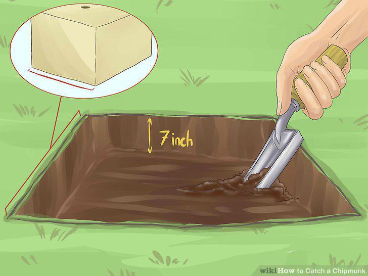 Step 16