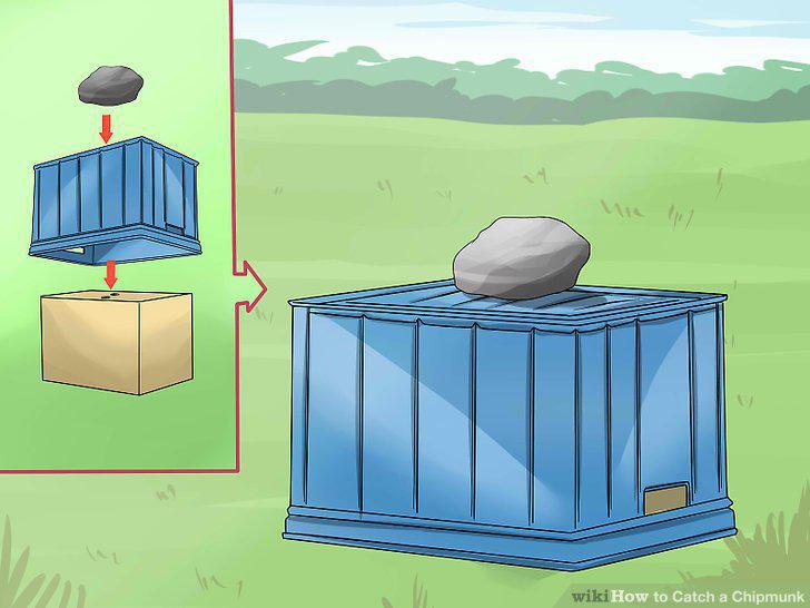 Step 18