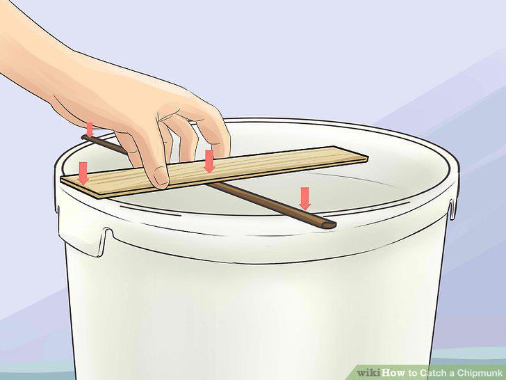 Step 8