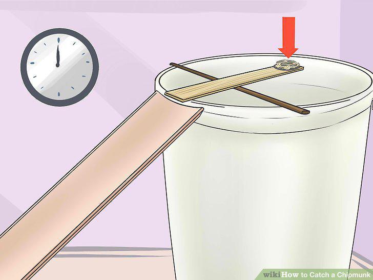 Step 10