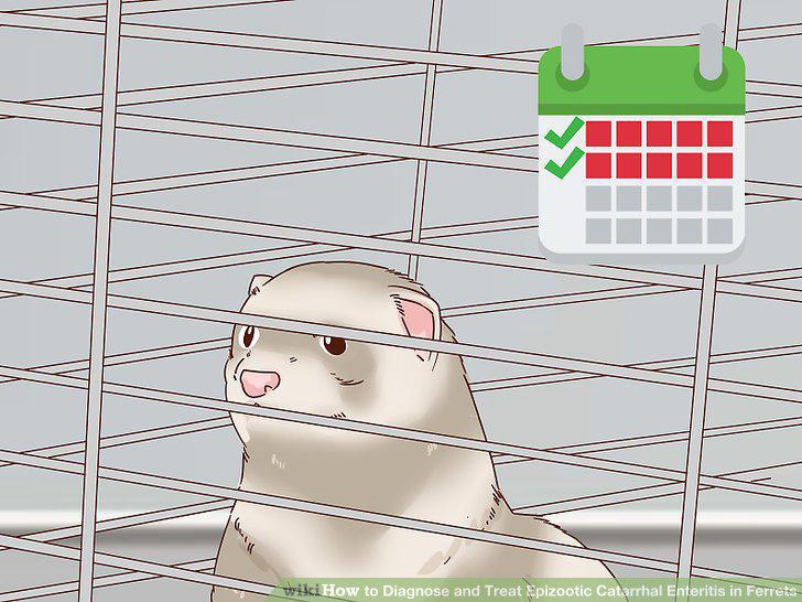 Step 11