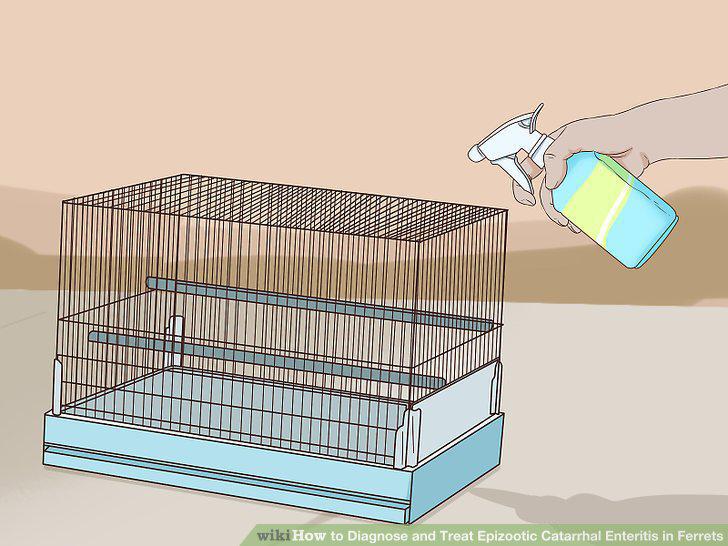 Step 12