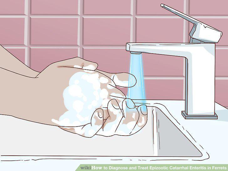 Step 13