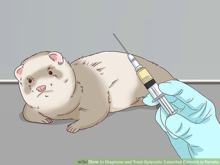 Step 7