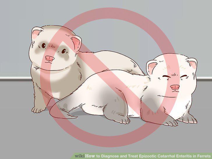 Step 9