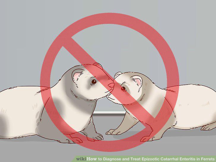 Step 10