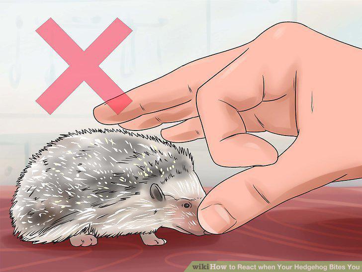Step 2