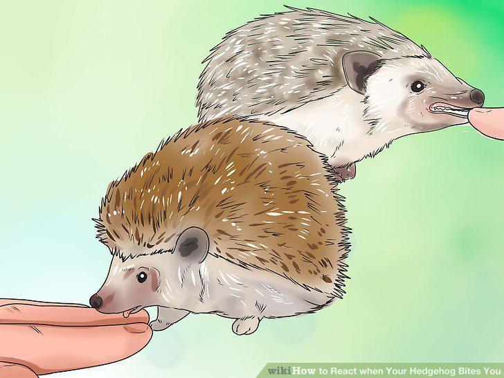 Step 11