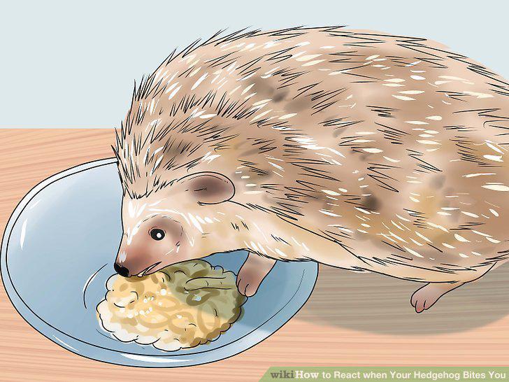 Step 12
