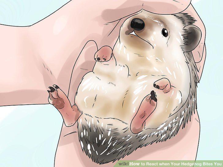 Step 14