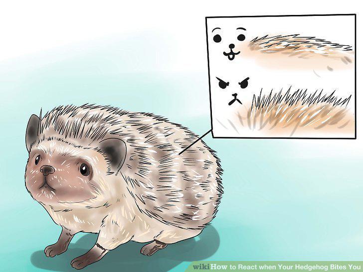 Step 17