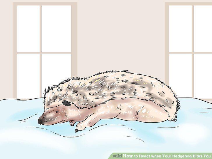 Step 7