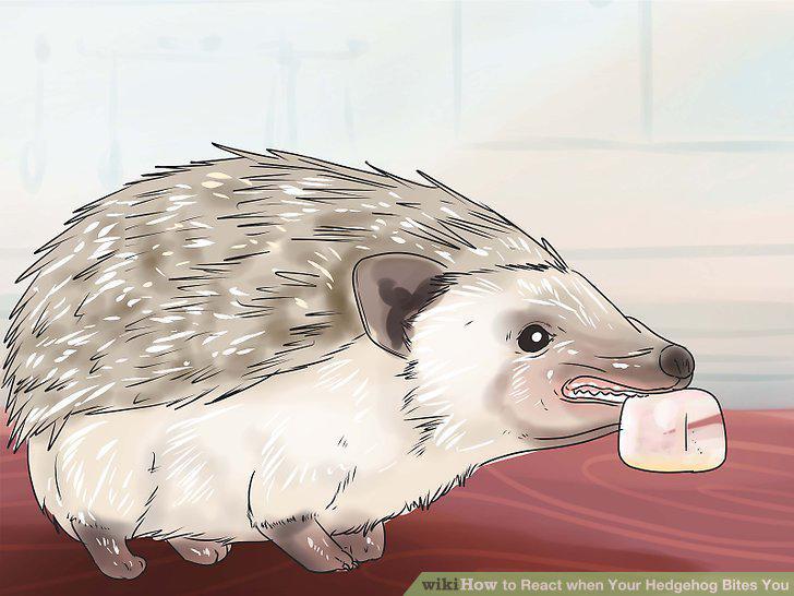 Step 9