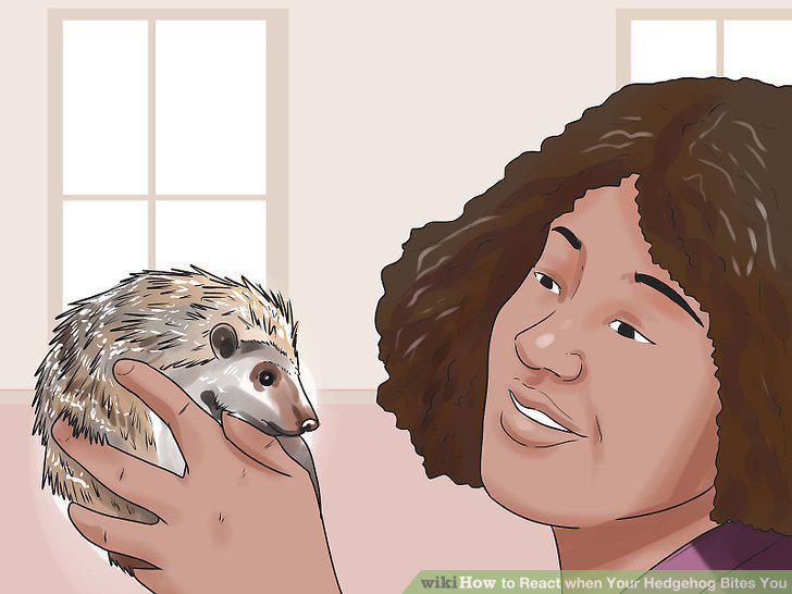 Step 10