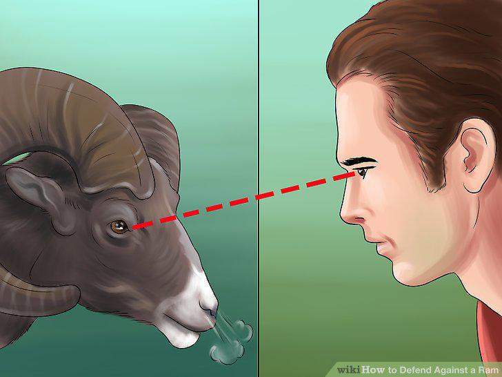Step 5