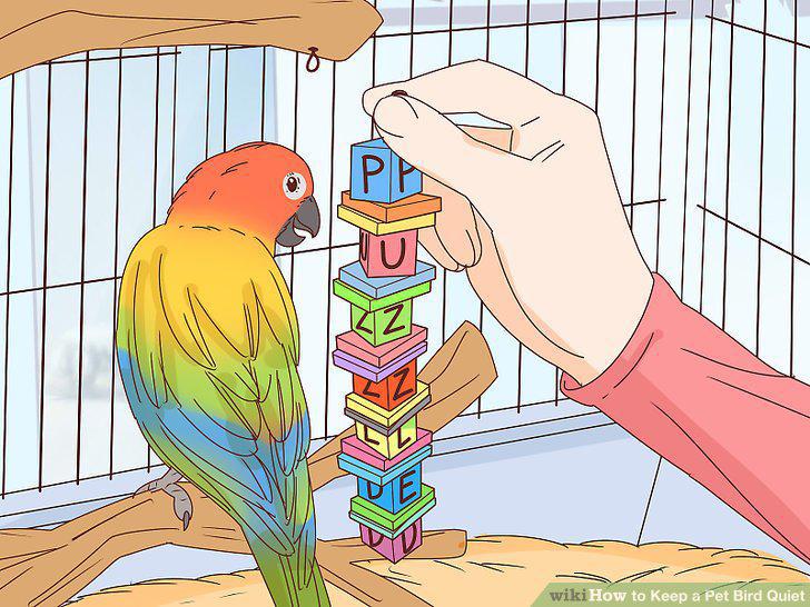Step 11