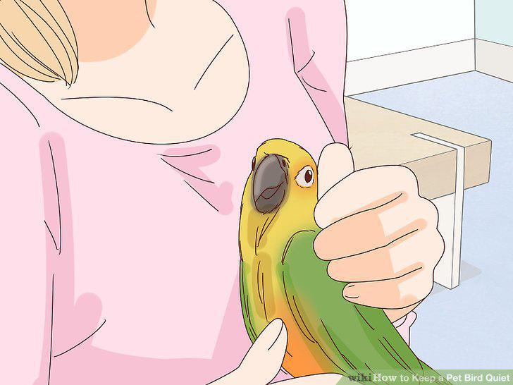 Step 12