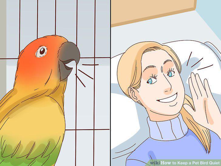 Step 13