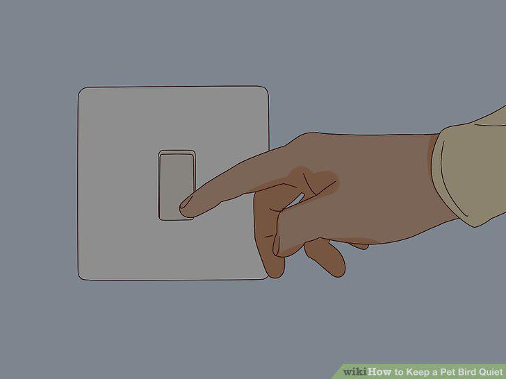 Step 5