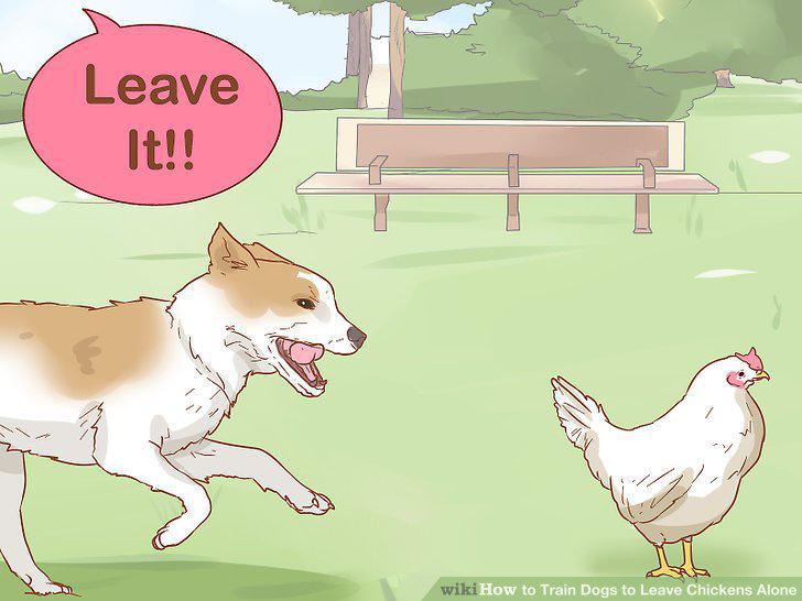Step 12