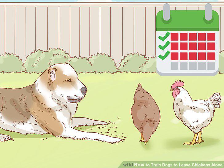 Step 9