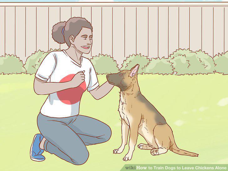 Step 10