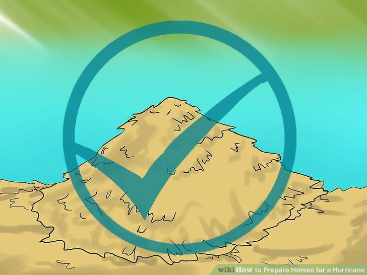 Step 12