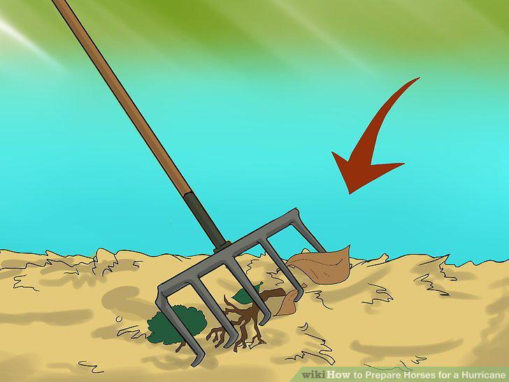 Step 16
