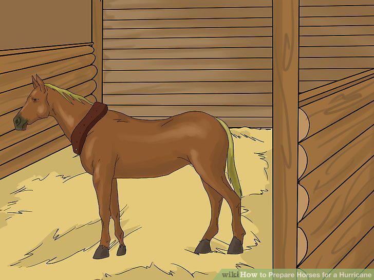 Step 17