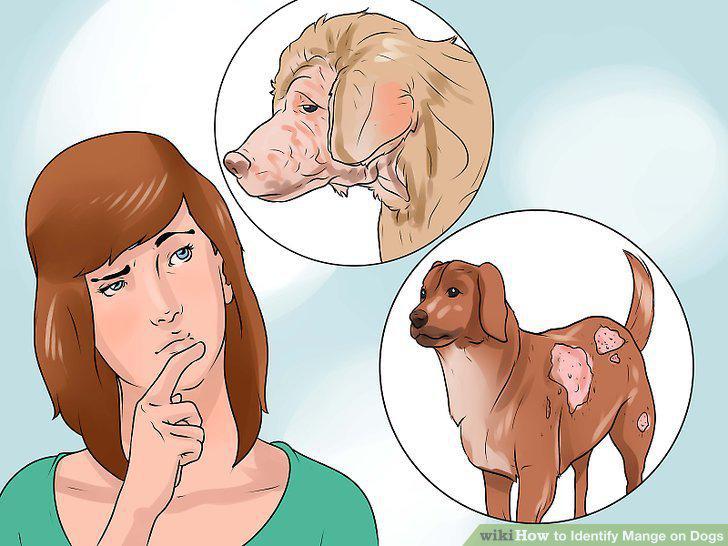 Step 11