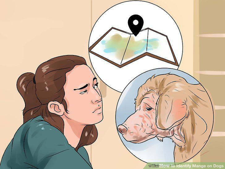 Step 12