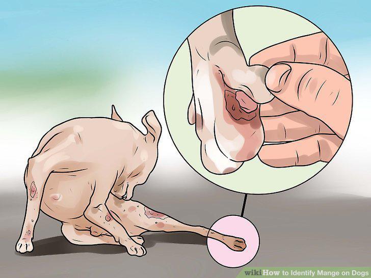 Step 13