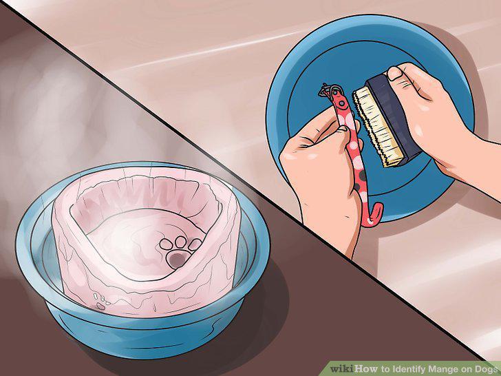 Step 15