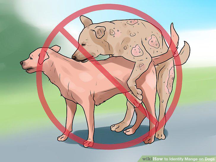 Step 16