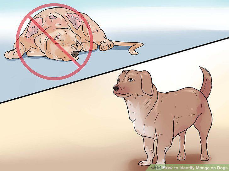 Step 17
