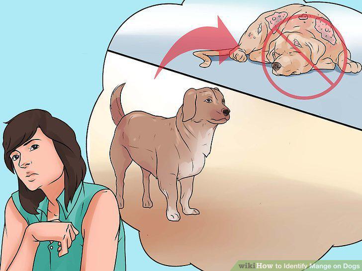 Step 18