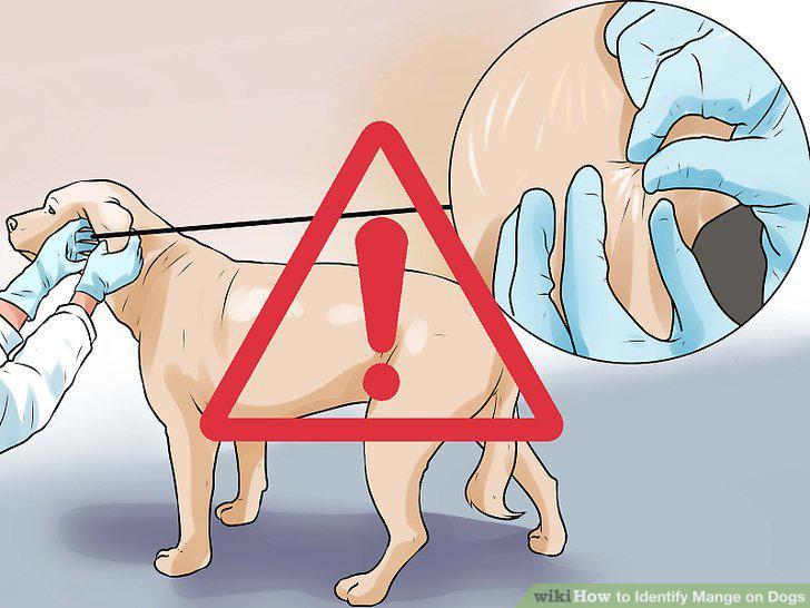 Step 10