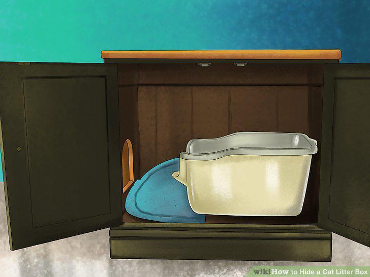 Step 6