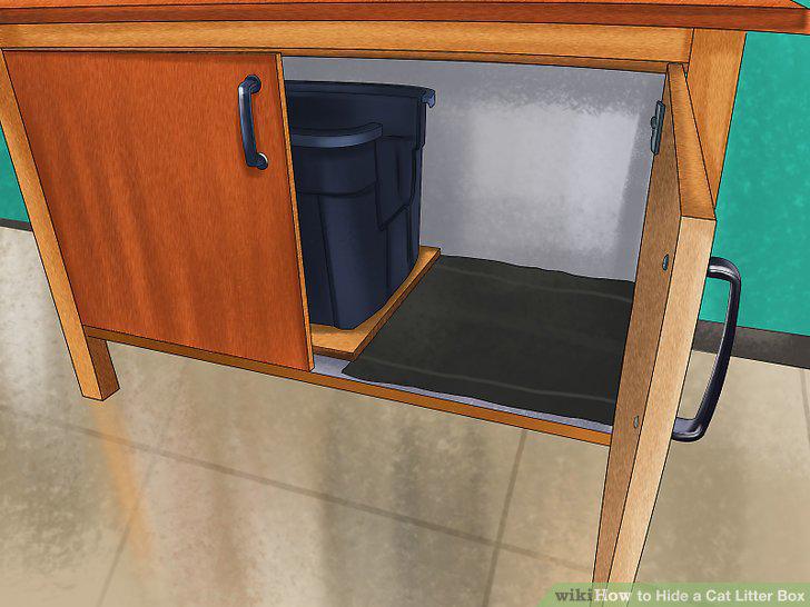 Step 7