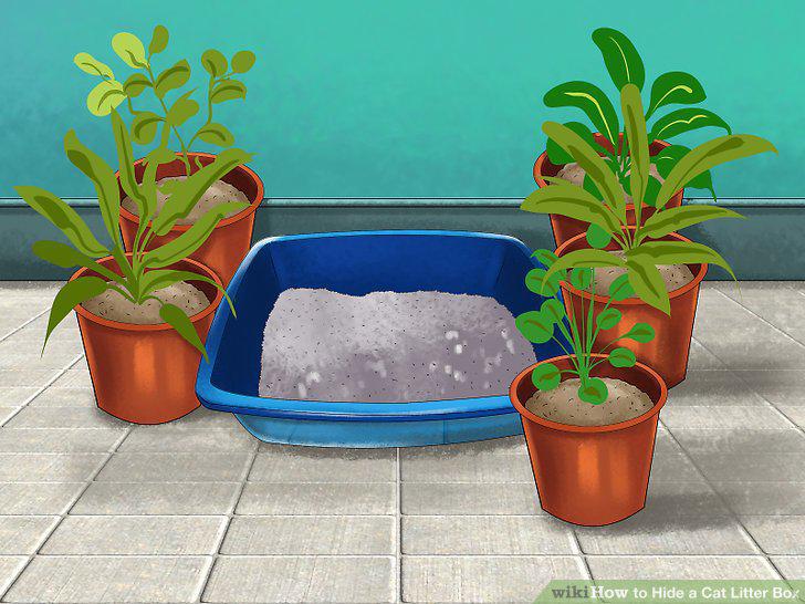Step 10