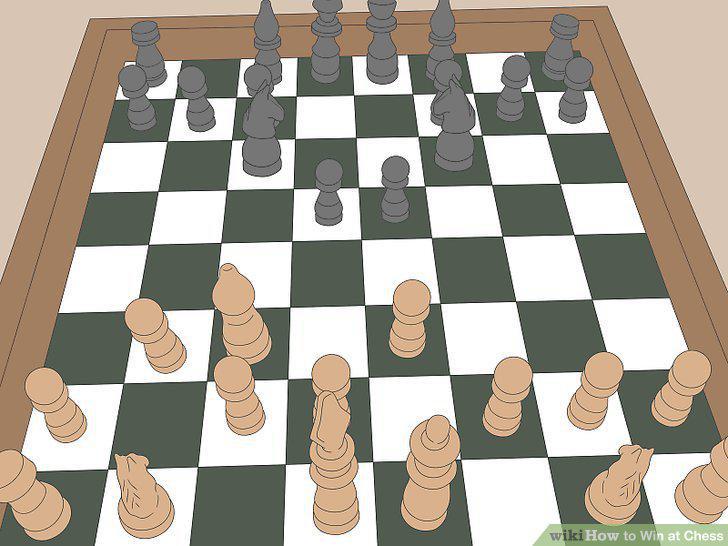 Step 15