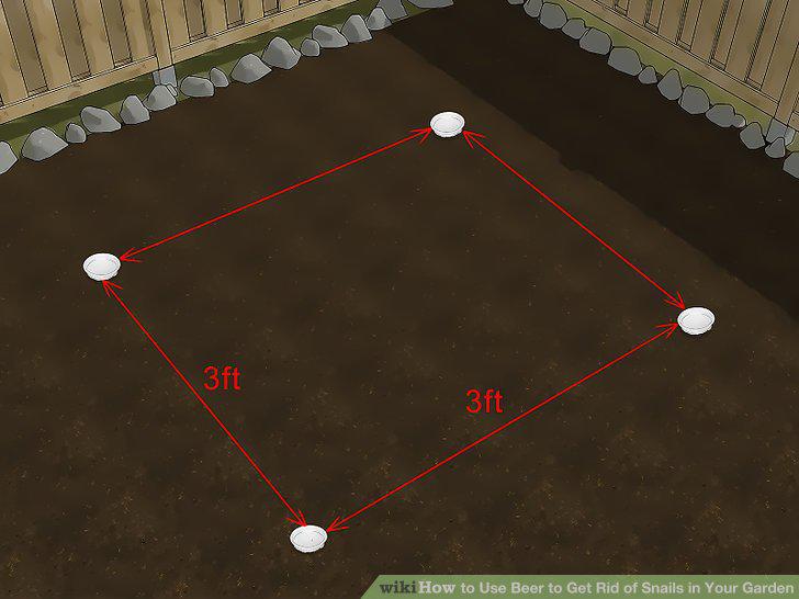 Step 3