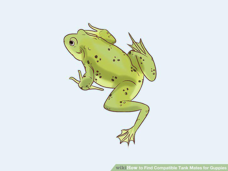 Step 11