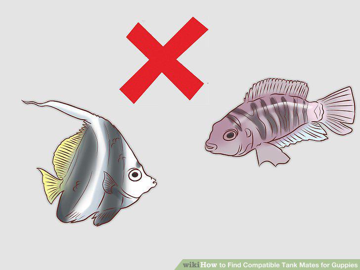 Step 13