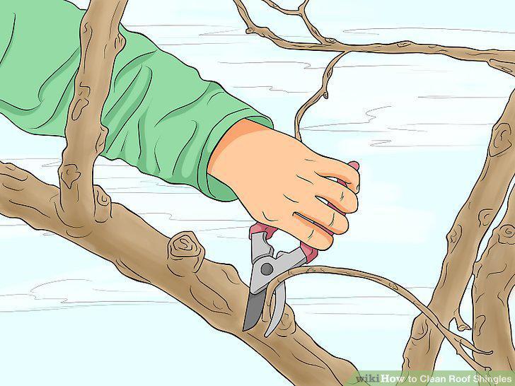 Step 11