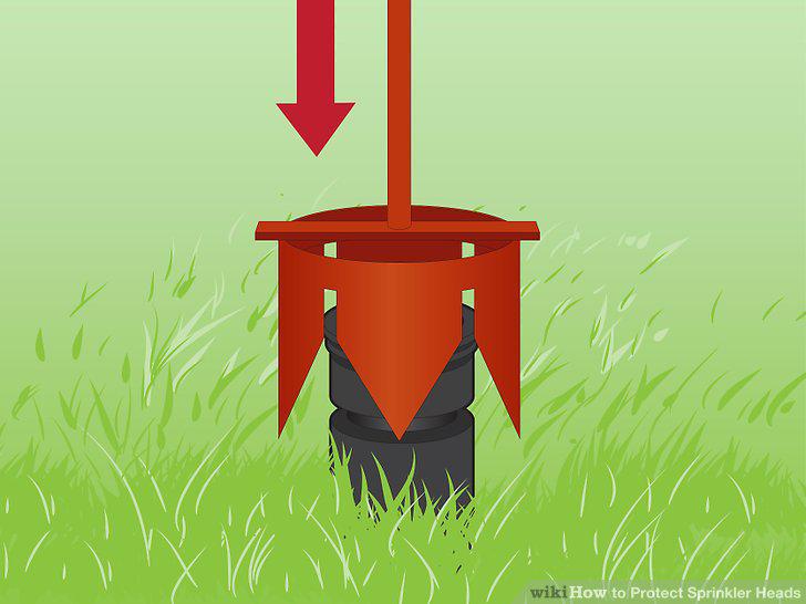 Step 10